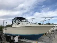 Tiara Pursuit 