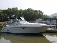 Rinker Fiesta Vee 