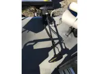 Sylvan Pontoon