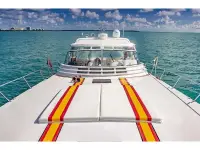 Magnum Furia Express Cruiser