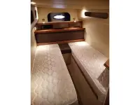 Cruisers 3870