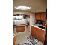 Cruisers 3870