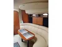 Cruisers 3870
