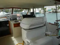 Chris Craft constellation 4 