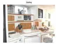 Sea Ray 440 Express Bridge