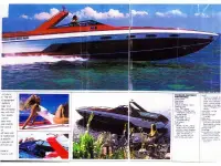Chris Craft Stinger
