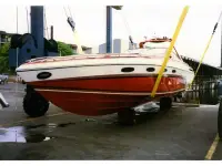 Chris Craft Stinger