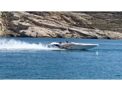 Force Offshore 29 Cat 