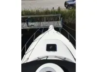 Tiara Pursuit 