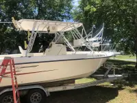 230 Seahorse 24