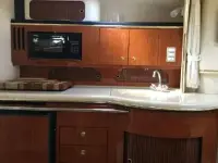 Sea Ray Sundancer Sundancer 310 