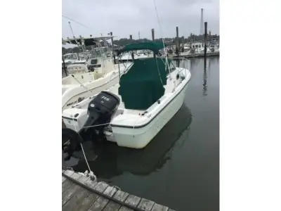 Bayliner Trophy 