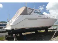 Sea Ray Sundancer 500 