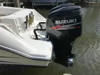 Hydra-Sports Vector 28CC 