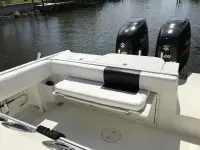 Hydra-Sports Vector 28CC 