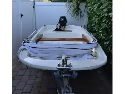 Boston Whaler Tender 