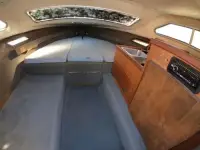 Tahiti Caribbean