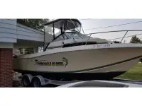 Chris Craft Scorpion 256