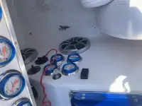 Spectre CATAMARAN