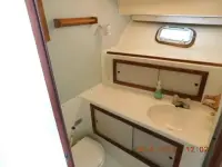 Bertram 35 Sportfish