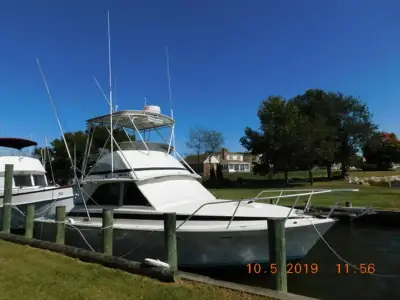 Bertram 35 Sportfish 
