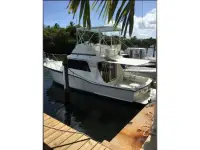 Hatteras Convertible 