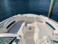 Chaparral 244 Sunesta