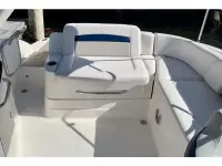 Chaparral 244 Sunesta