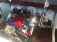 Cobra 