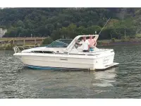 Sea Ray 340 Express Cruiser 