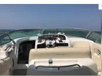 Chris Craft 328 Express Cruiser 