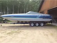 Sea Ray Pachanga 