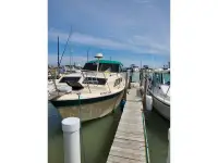 Chris Craft Catalina 310 