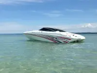 Baja Boss 275 Performance 