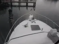 Bertram 33 