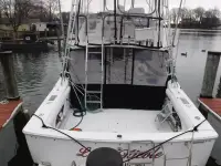 Bertram 33 