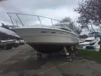 Sea Ray Sundancer 
