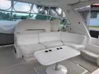 Sea Ray Sundancer 460 Sundancer 