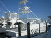 Luhrs Open 