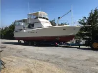 Viking Double Cabin 