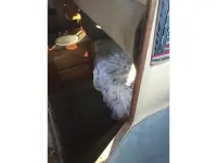 Bayliner Explorer 