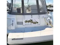 Cruisers 3672 