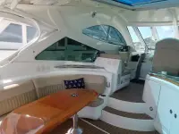 Cruisers 520 Sports Coupe 