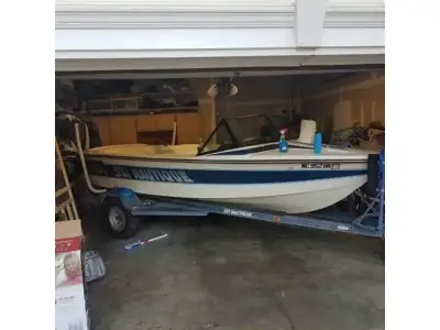 Correct Craft Ski Nautique 2001 