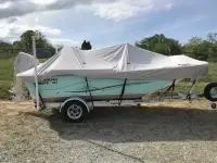 Carolina Skiff 198DLV