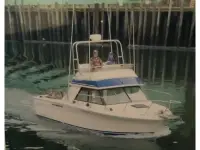 Wellcraft 2900 Sports Cruiser 