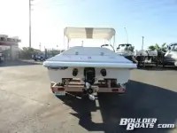 Cheetah Scorpion
