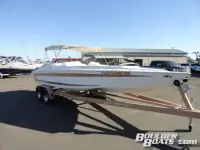 Cheetah Scorpion