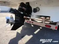 Cheetah Scorpion