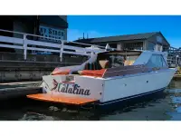 Chris Craft Catalina
